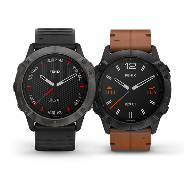 fēnix 6X